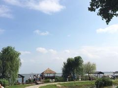 -丫丫蟹庄·苏式园林农家乐·阳澄湖大闸蟹(阳澄湖莲花岛店)