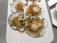 蒜蓉粉丝蒸扇贝-神洲四海大酒楼(王府井澳门中心店)
