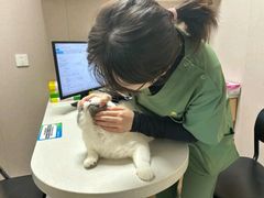 -瑞鹏宠物医院·骨科·猫科·内科(第一中心)