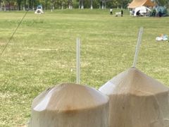 -洋湖国家湿地公园
