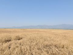 -野鸭湖国家湿地公园