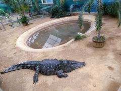 -西霞口神雕山野生动物世界