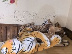 -果松木炭酸菜铜火锅·外婆参鸡汤