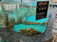 -渔码头食府(蓬莱阁店)
