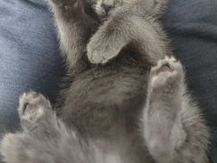 -宠颐生·恒爱宠物医院(静海店)