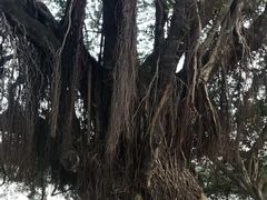 -东山湖公园