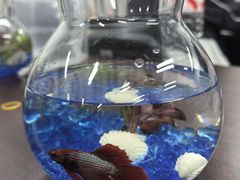 -沪东工人文化宫