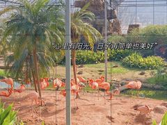 -无锡动物园·太湖欢乐园