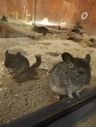 -酷嗒动物文化乐园(cutezoo西溪乐天城店)