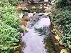 -宁波五龙潭景区