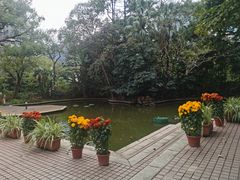 -九龙公园