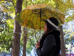 -凤城河风景区