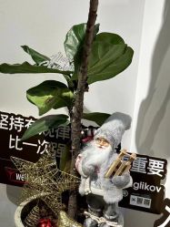 点击看大图 -唯奈斯肌肤管理中心