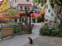 -荔湾湖公园