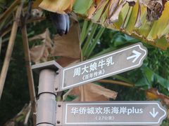 -周大娘牛乳(旧寨古村总店)