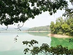 -广州市流溪河国家森林公园