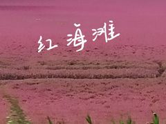-红海滩国家风景廊道