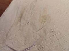 -胖哥俩肉蟹煲(石家庄勒泰中心店)