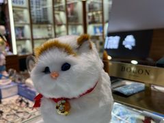 -上海网星眼镜批发·蔡司依视路官方授权(三叶眼镜城店)