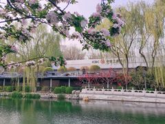 -陶然亭公园