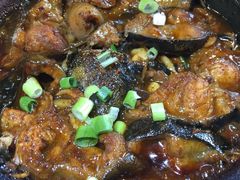 鲶鱼砂锅-舅姥爷砂锅(正阳路)