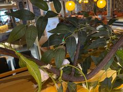 -星河湾温泉洗浴酒店