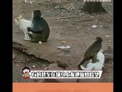 -昆明动物园