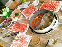 -颐辰舍岁岁羊(文昌万达景园店)