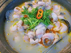 石锅乌鱼-大鼎石锅鱼(春江里店)