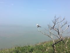 -海驴岛(荣成市)