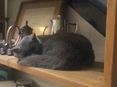 -塔拉苏咖啡(中信丹阳花园店)
