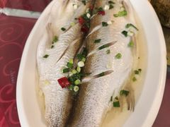 -太湖好灶头土菜馆(石公路店)