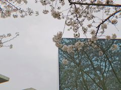 -龙美术馆(西岸馆)