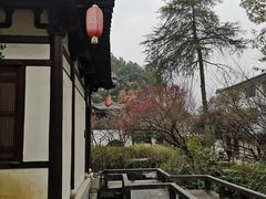 -唐风温泉