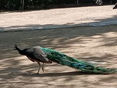 -秦皇岛野生动物园