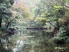 -秋霞圃
