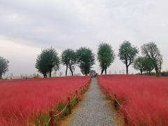 -汉长安城未央宫国家考古遗址公园