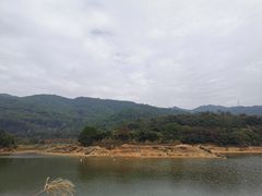 -东莞市大岭山森林公园
