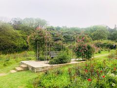 -宜兴龙背山森林公园