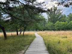 -承德避暑山庄景区