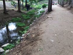 -白水寺森林公园
