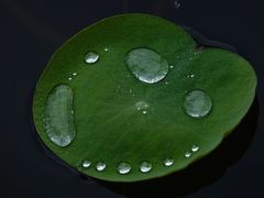-黄兴公园