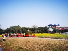 -长洲岛都市农业公园