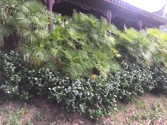-九龙寨城公园