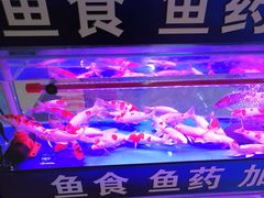 -三旗百汇商品城