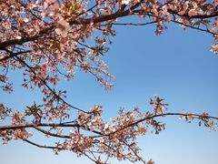 -新江湾城公园