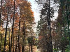-广州市白云山风景名胜区