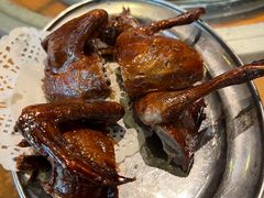 -南海鸽天下(肇庆店)