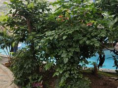 -天源吉布世温泉水乐园