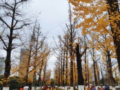 -百林公园-两江幸福广场